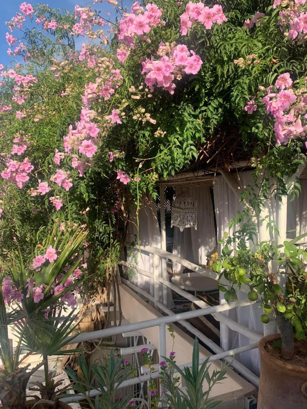 Made In Berbere Daire Marakeş Dış mekan fotoğraf